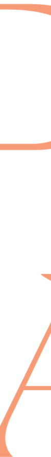 Asset-6@4x.png